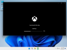 Windows 11 x64-2024-08-30-22-43-15.png