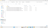 Windows 11 x64-2024-10-17-23-44-56.png