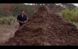 jurassic-park-50 - Copy.jpg