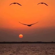 OOBE KEEPS GOING TO WORK OR SCHOOL ACCOUNT intelligence overview